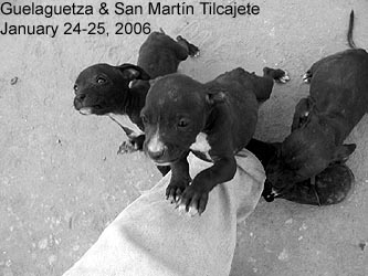 Guelaguetza & San Martn Tilcajete - Jan. 24-25, 2006